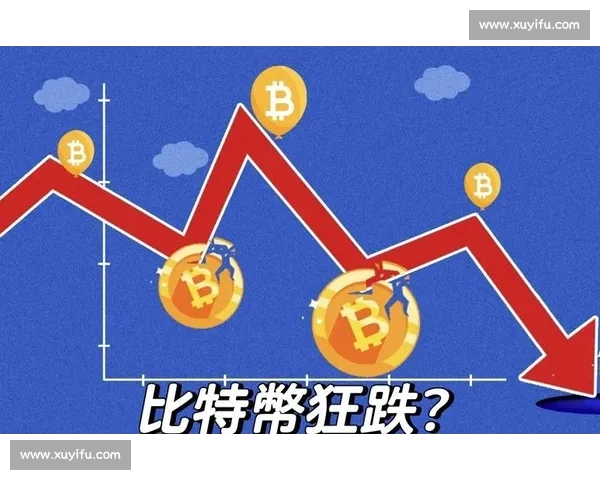 比特币的未来：从数字货币到全球经济新常态的转变与挑战